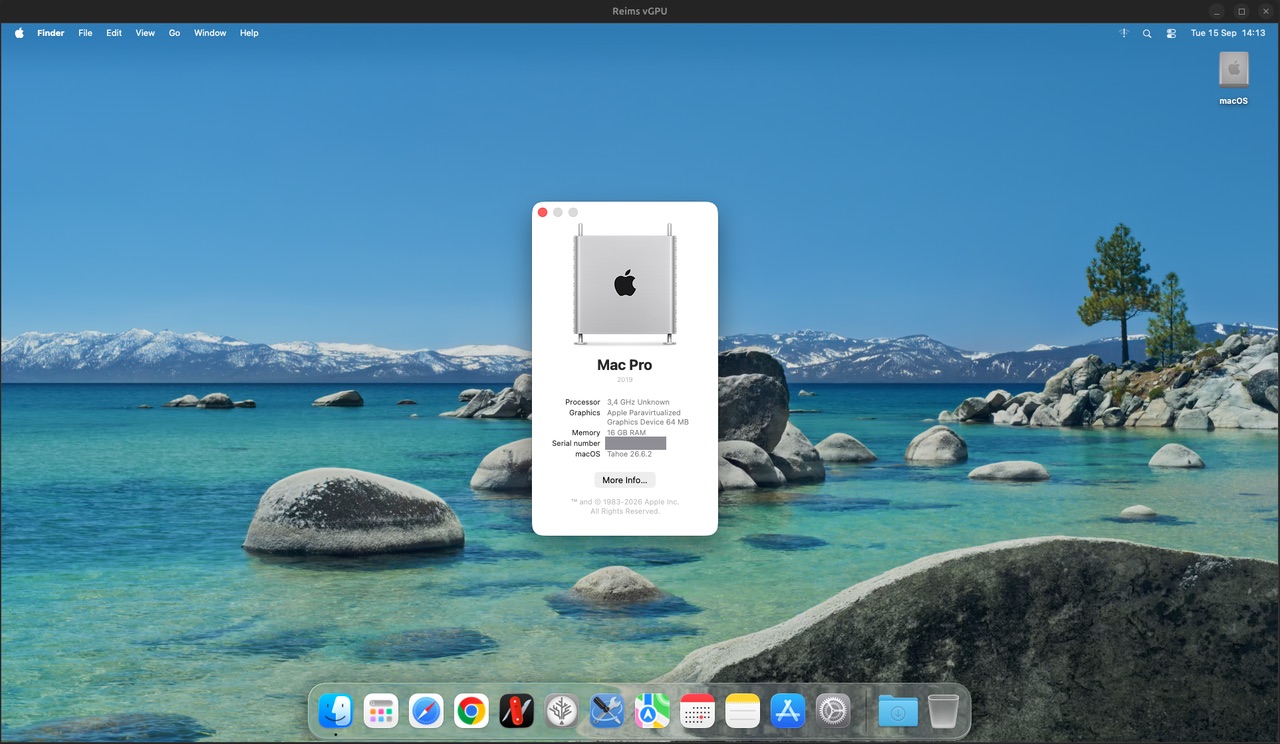 macOS Tahoe 26.6.2 running in the Reims vGPU window, with About This Mac open showing Mac Pro, Apple Paravirtualized Graphics Device graphics and 16 GB of memory. Serial number hidden.